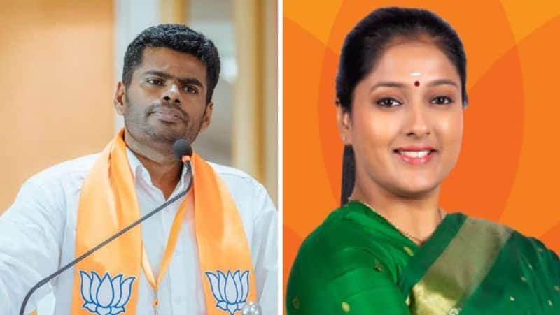 Gayathri Raghuram condemns Annamalai for commenting in support of Devanathan KAK