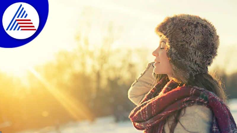 Morning Sunlight In Winter, Benefits Of Good Sun Exposure In Cold Weather Vin