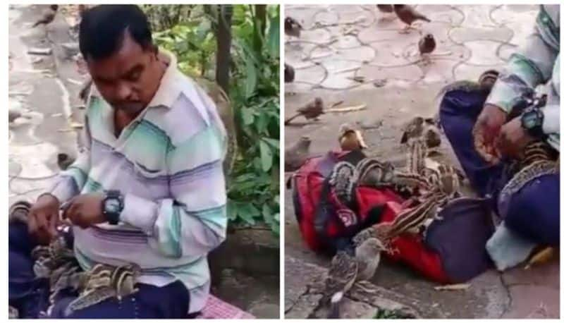 man feeding squirrels and birds is the most beautiful thing on internet today