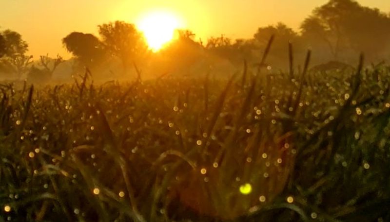 Weather Forecast: Hyderabad continues to witness summer in winter, high temperatures RMA