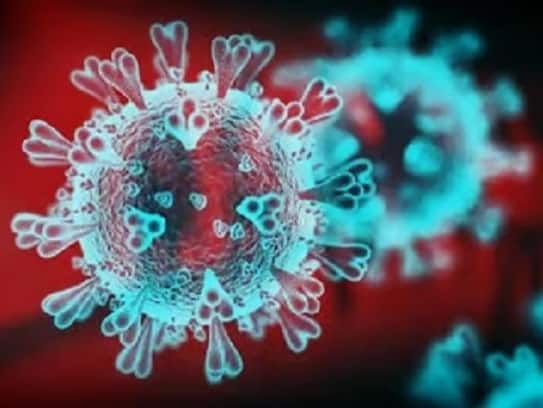 Another corona epidemic may break out in China - warns Dr. Shi Zhengli, a leading virologist..ISR