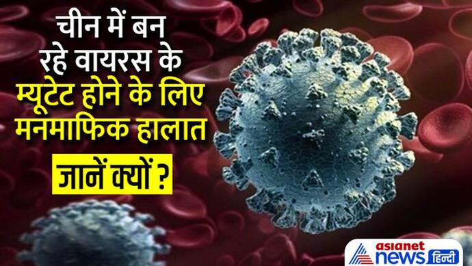 अब BF7 से भी ज्यादा खतरनाक वैरिएंट मचा सकता है तबाही, कोरोना को लेकर वैज्ञानिकों ने किया अलर्ट