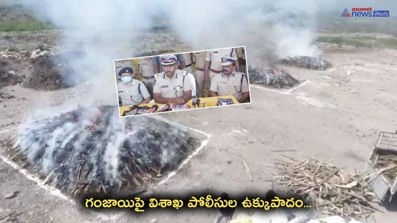 22 Tones Cannabis destroyed in Visakhapatnam 