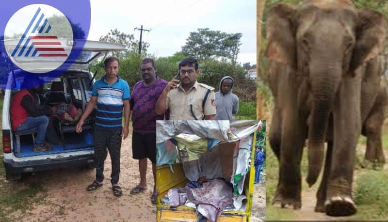 Three more attacked by one horned elephant serious injury sat