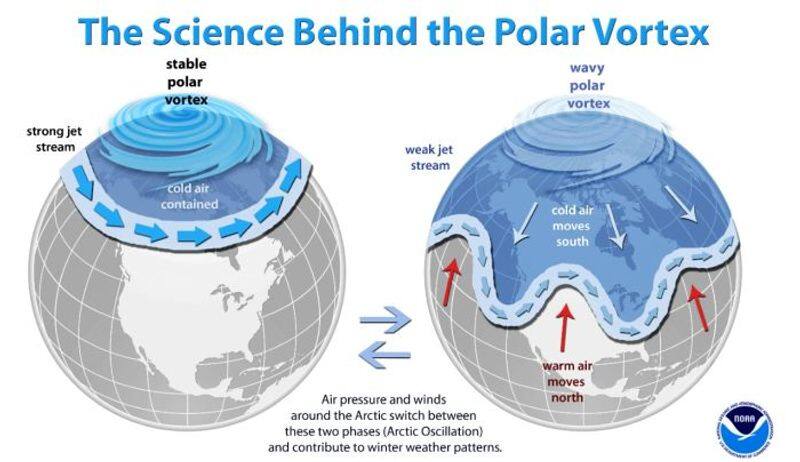 Freak weather impacted world's refrigerator, but global warming is a bigger concern