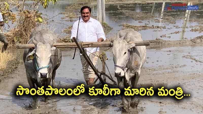 Minister Errabelli Dayakar Rao doing Agriculture works 