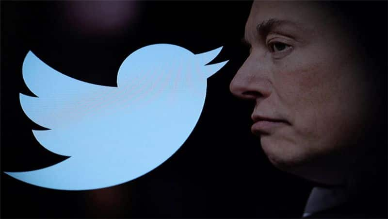 Twitter down for few hours in globally claims unable to refresh feed users slams elon musk ckm