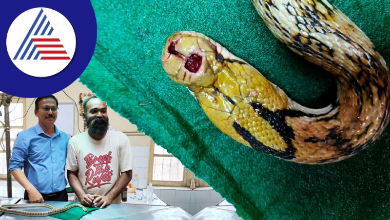 A doctor who saved the life of a snake suffering from cancer at dharwad rav