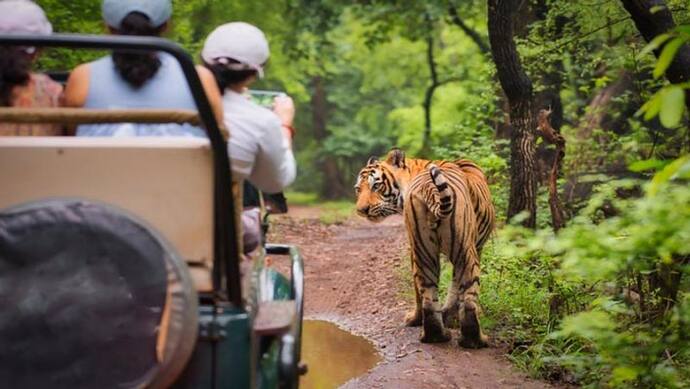 New Year 2023 : प्रकृति के बीच मनाएं नए साल का जश्न, जिंदगी भर याद रखेंगे आप, देखें 5 Travel Destinations