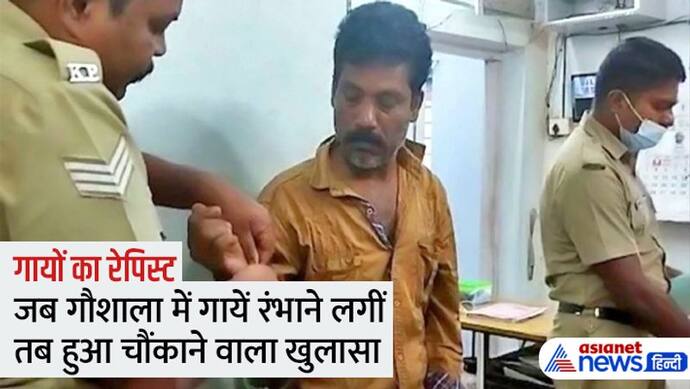 गौशाला में रात 1 बजे आने लगी जानवरों की आवाज, CCTV में कैप्चर हुआ गायों से रेप करने वाला हैवान