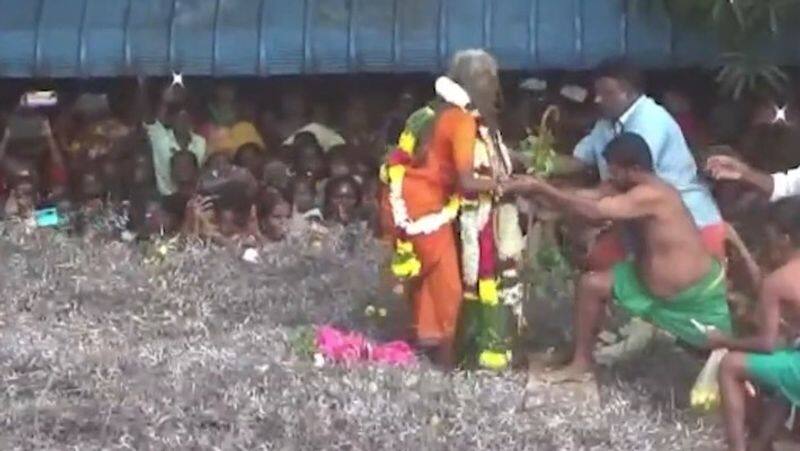 The old lady who danced aggressively on the thorn bed and prayed for the devotees!