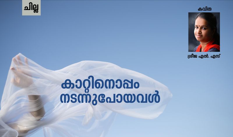 chilla malayalam poem by Sreeja LS