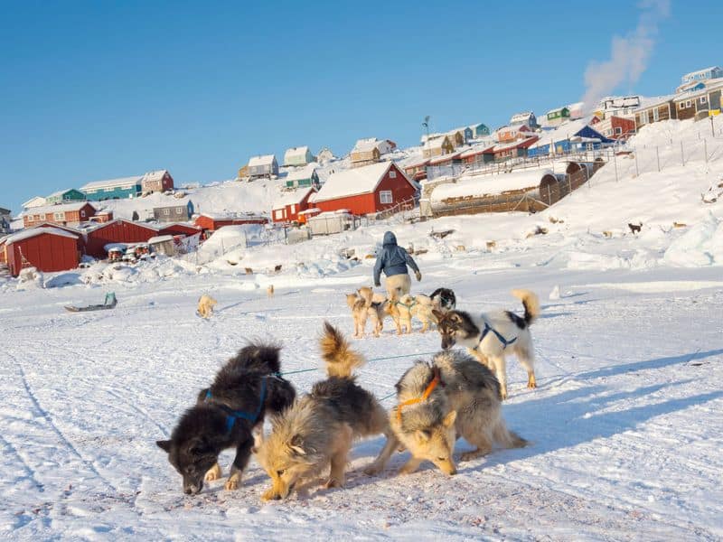 Country Without Roads Exploring Greenland, Where the Sun Never Sets vel