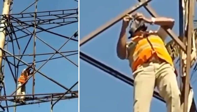 traffic policeman climbed a hoarding to save a pigeon