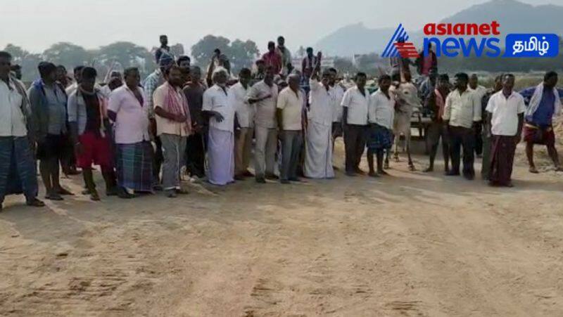 youngsters protest in tiruppur collector office to permit a jallikattu in alagumalai area