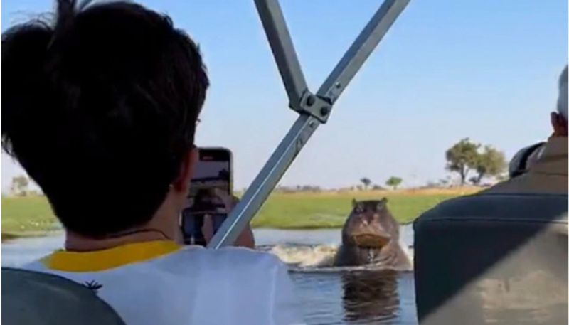 Angry Hippo Chases Speedboat Through Lake, Video goes viral