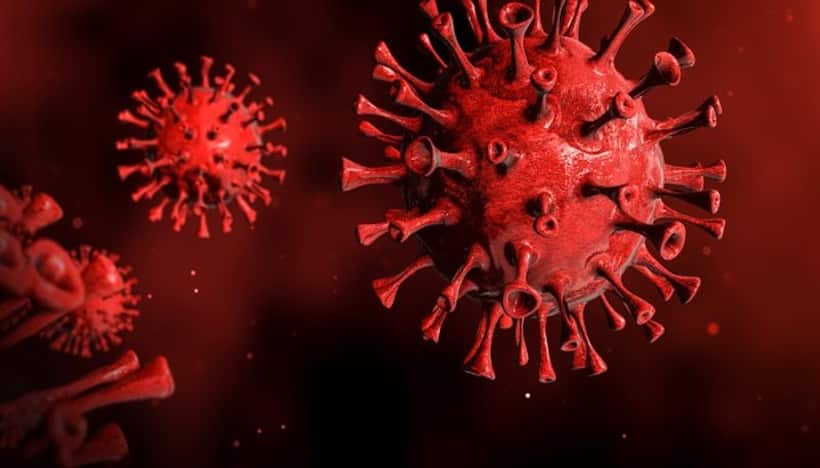 India records 5,335 fresh COVID-19 cases in last 24 hours, highest since September-end