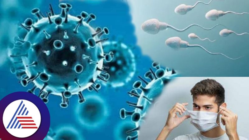 Covid infection may impact Semen quality in men, AIIMS study Vin