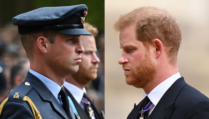 Prince Harry takes swipe at elder brother William alarming hair loss in his memoir gcw