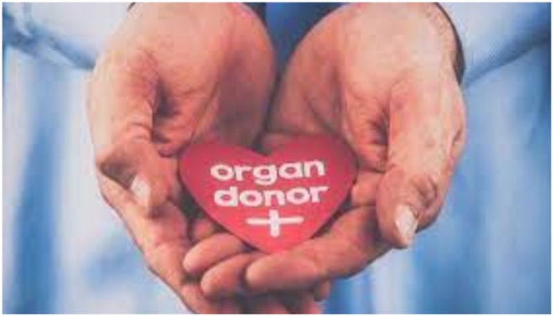 Telangana tops list of states in India for organ donation in 2023, women dominate as live donors gcw