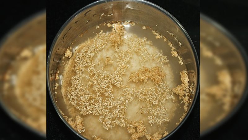 5 Foods You Should Always Soak Before Cooking