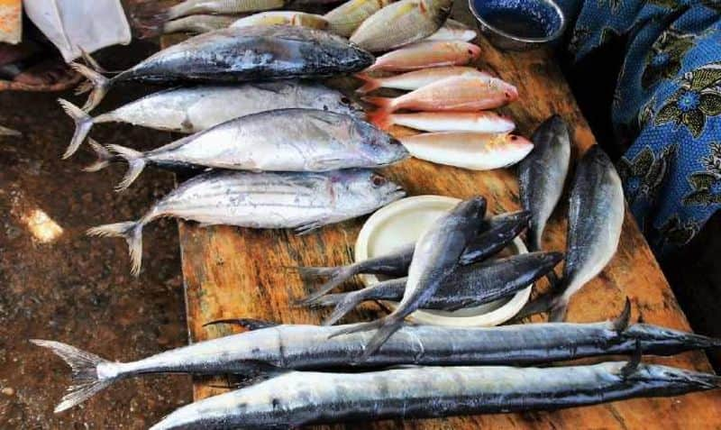 fish rates are very high in kanniyakurmari district ports