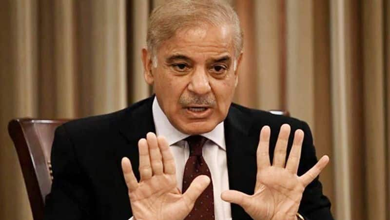 Pakistan will continue to raise Kashmir issue pakistan former pm Shehbaz Sharif on Article 370 verdict smp