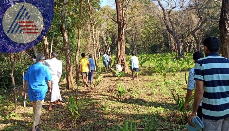 Cutting of trees Struggle rages among villagers at soraba shivamogga rav