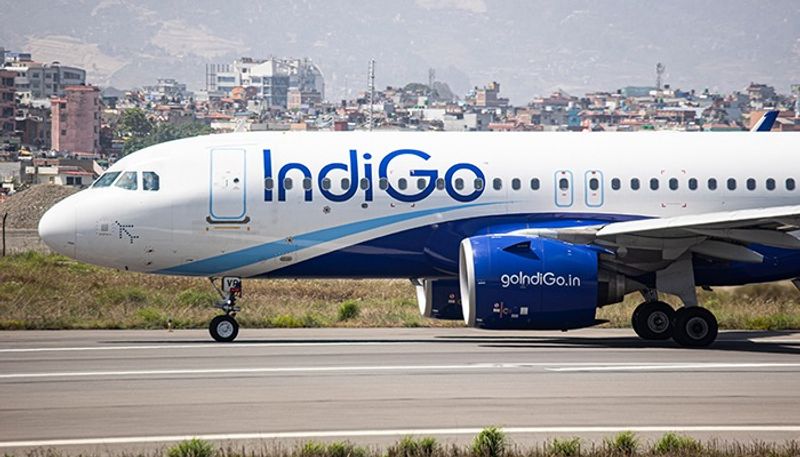 Prepare for extended security checks': IndiGo announces Independence Day travel guidelines AJR