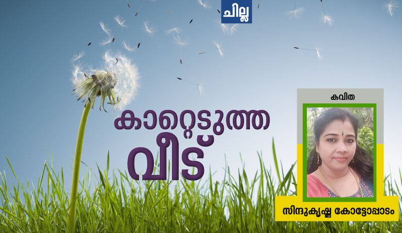 chilla malayalam poem by Sindu Krishna