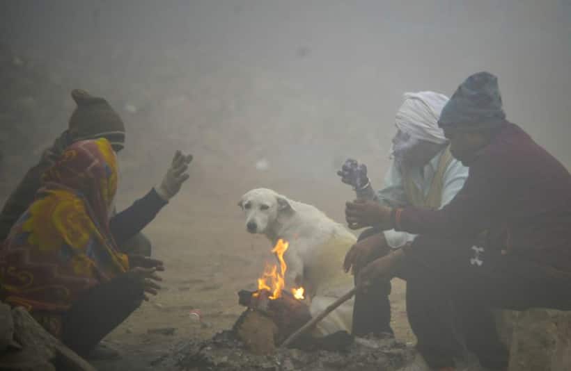Light rain to improve visibility in Delhi, dense fog likely to return on Friday