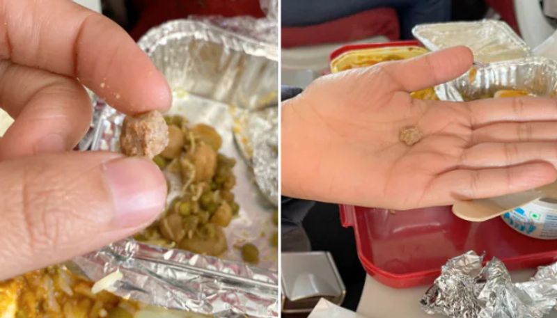 Woman Finds Stone In Meal Served On Air India Flight