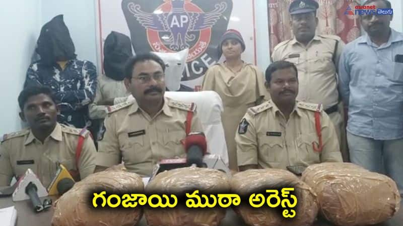 Ganja smuggling gang arrested in Thadepalli Guntur District 