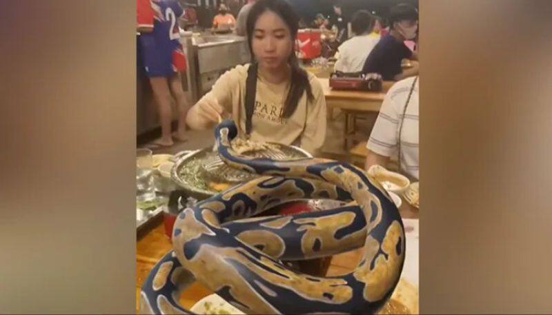 Video Of Women Dining With Python On Table Goes Viral