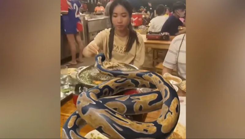 Video Of Women Dining With Python On Table Goes Viral