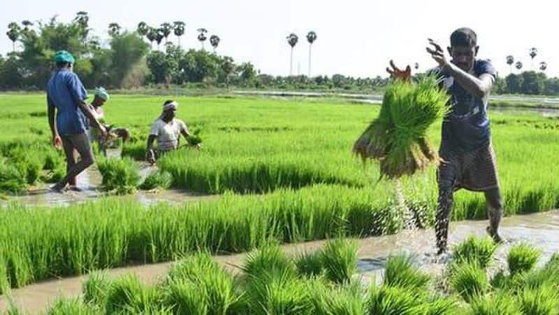 Soil and water are gold for every farmer snr