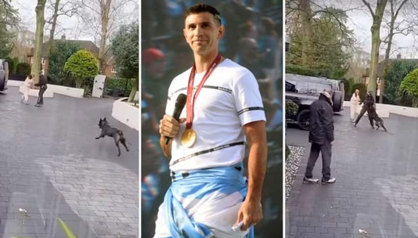 Guarding Emiliano Martinez's World Cup accolades? Argentina goalie shows off security dog in action