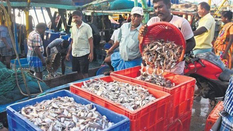 Fish prices rise in Kanyakumari due to lack of fish supply