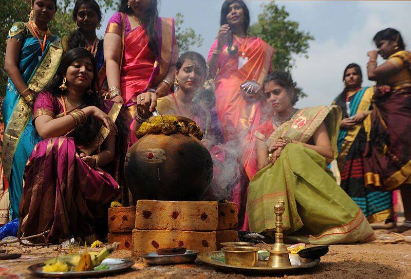 many of village people celebrate pongal festival with traditional system in tirupur