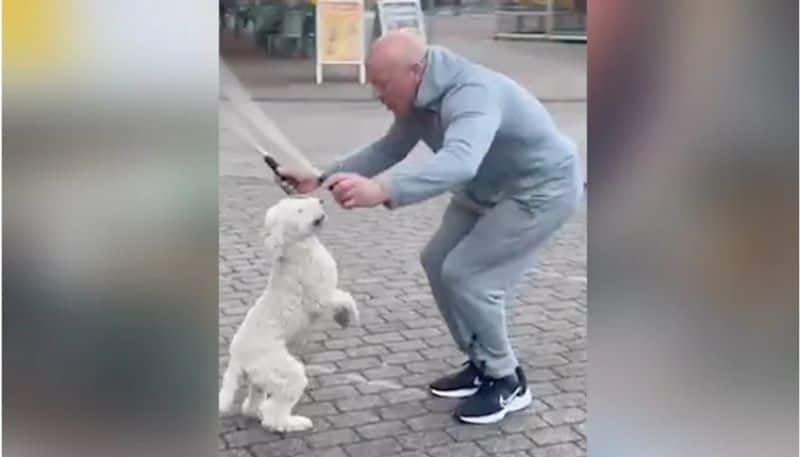 Video Of Dog With World Record For Most Skips On Hind Legs Goes Viral