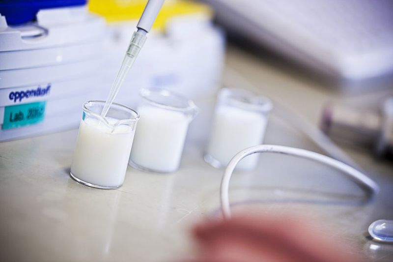 adulterated milk has supplied in kerala authorities informs hyp 