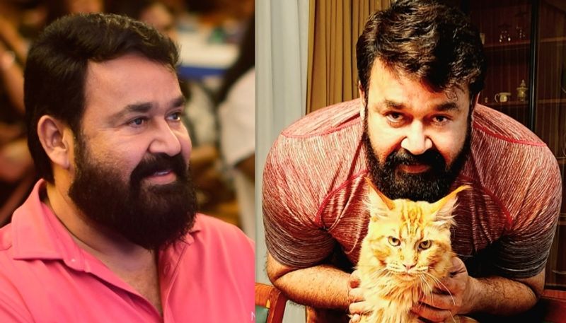 mohanlal shares pic with his cat simba