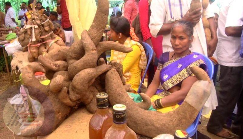 Attractive tuber yam fair at Zoida Yam weighing more than 5 kg sat