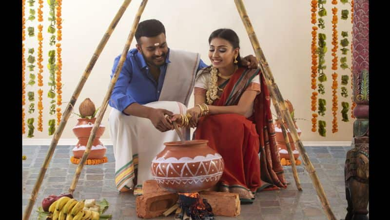 Happy Pongal 2023: Wishes, Messages, Greetings, Facebook/Whatsapp status, quotes for loved ones RBA