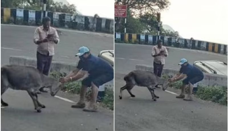 Malayali priest and his friend jailed in Tamil Nadu for taking photo of Nilgiri tahr 