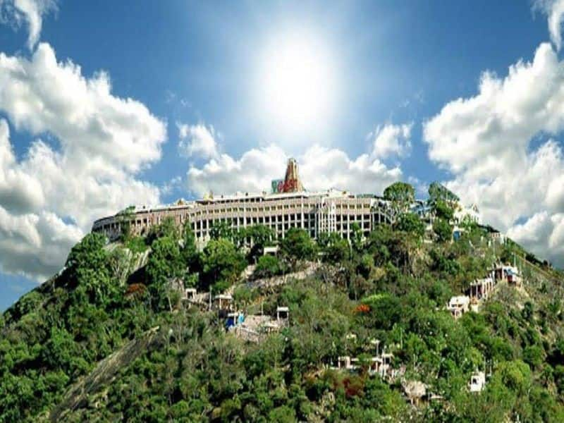 palani murugan temple kumbabishekam reservation details here