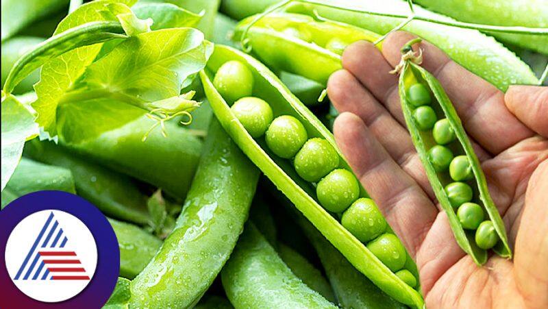 Never throw peas peel, here are some tips to use it