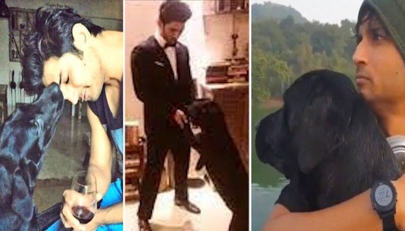 Sushant Singh Rajput's dog Fudge no more; late actor's sister Priyanka Singh shares the news  RBA