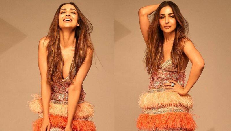 malaika arora in a bold photoshoot viral on social media sgk