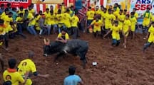 World Famous Palamedu Jallikattu has started Rya